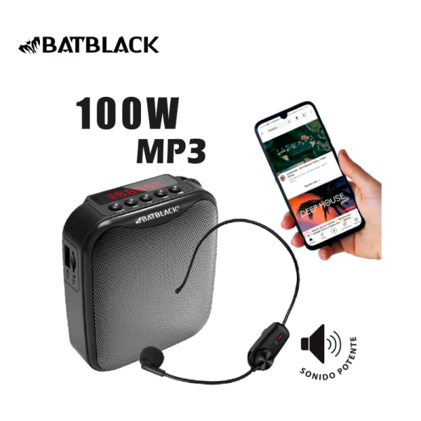bt v317